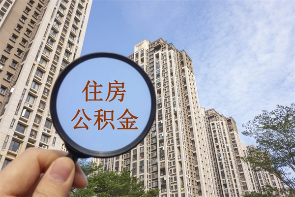 汶上2025年公积金将被全面取消（汶上2025年公积金将被全面取消张家口）